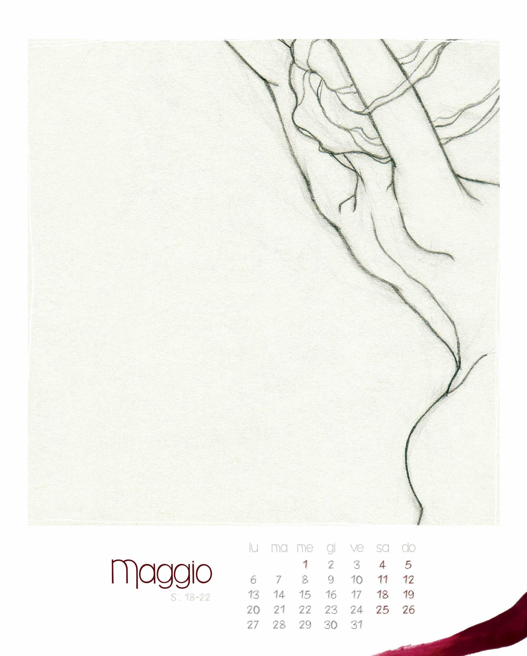 Maggio Un'Altra Storia n. 1